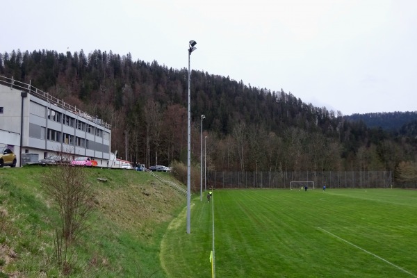 Terrain de Champ Nauger - Les Brenets
