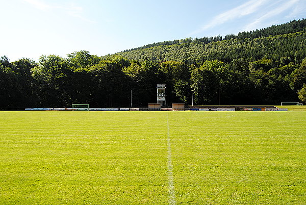 Stadion im Hammergrund - Ilmenau