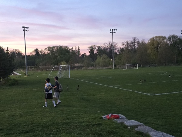 Bill Crothers Grass East - Markham, ON