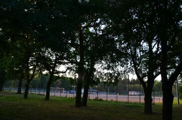 Sportplatz Auf der Heide - Waldorf/Eifel