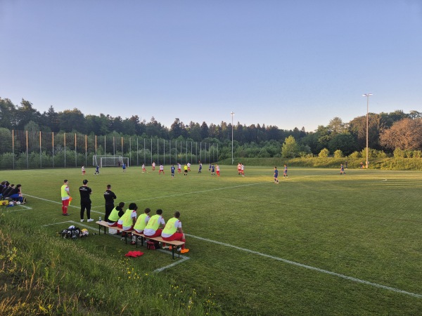 Sportanlage Waldäcker Nebenplatz 1 - Herzogenbuchsee