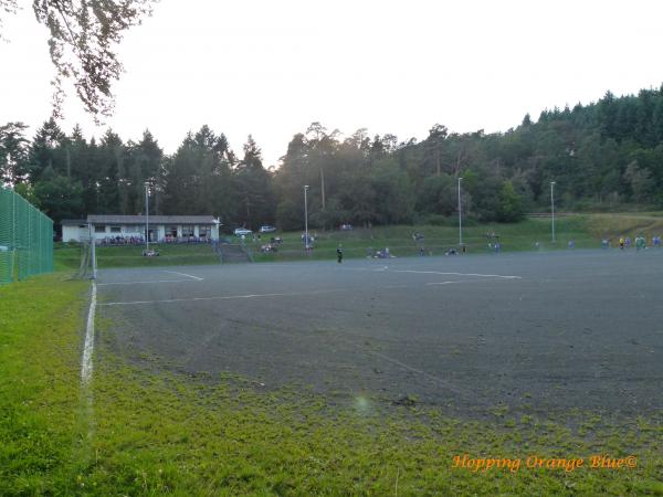Waldsportplatz am Tierpark - Herborn-Uckersdorf