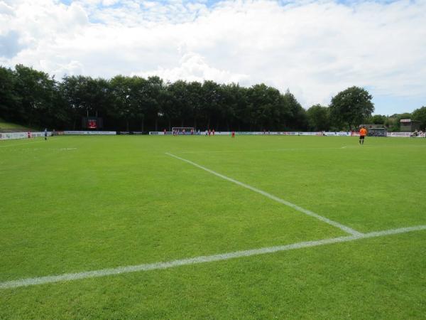 Lars R. Jacobsen Park. - Odense-Dalum