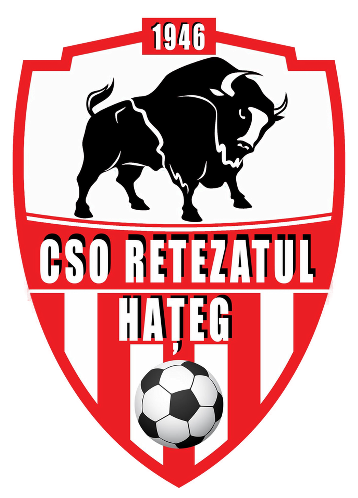 Wappen CSO Retezatul Hațeg  45283