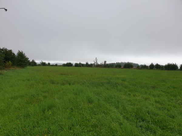 Sportplatz Burkhardswalde - Burkhardswalde