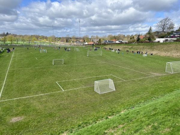 Cepheus Park Randers Bane 4 - Randers