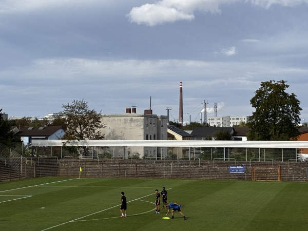 Seppl-Herberger-Stadion am Alsenweg - Mannheim-Waldhof