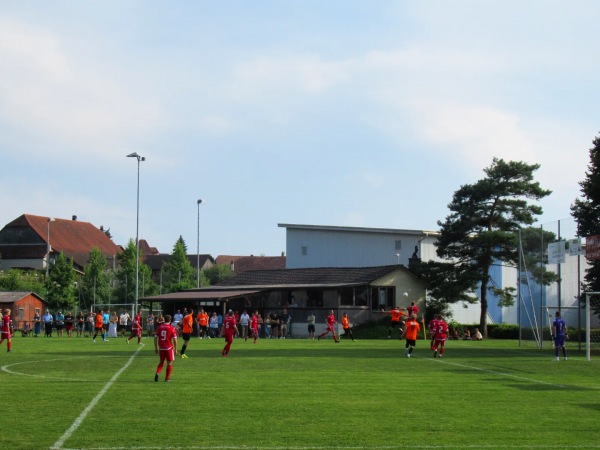 Sportplatz Inseli - Dotzigen