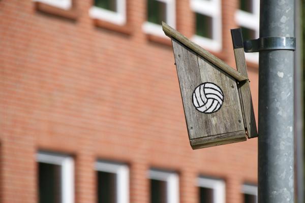 Sportplatz Niedersächsisches Internatsgymnasium - Esens