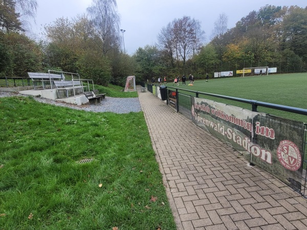 Dörenwald-Stadion - Detmold-Diestelbruch