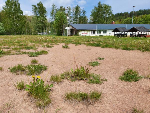 Sportplatz an der Müglitztalstraße 2 - Altenberg/Erzgebirge-Bärenstein