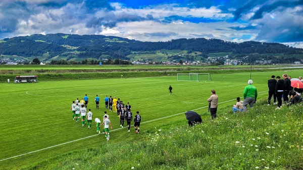 Sportanlage Rheinvorland Platz 2 - Lustenau