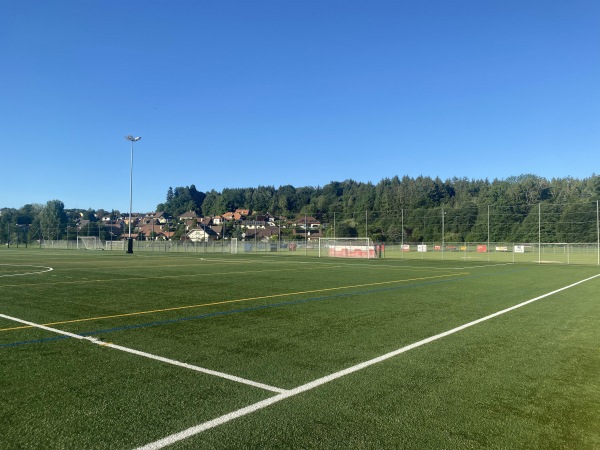 Stade de Bouleyres terrain 3 - Bulle