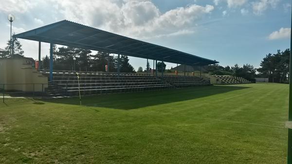 Stadion Miejski Gogolin - Kasztanowa