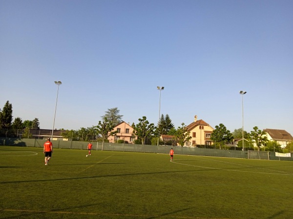 Stade Municipal de Payerne terrain S - Payerne