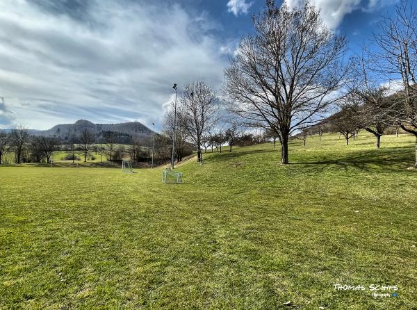 Sportgelände Belsener Weg Platz 2 - Mössingen-Talheim