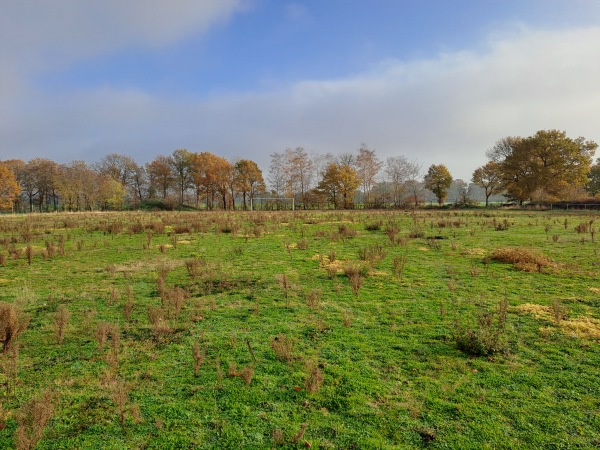 Sportplatz Bohnhorst B - Warmsen-Bohnhorst