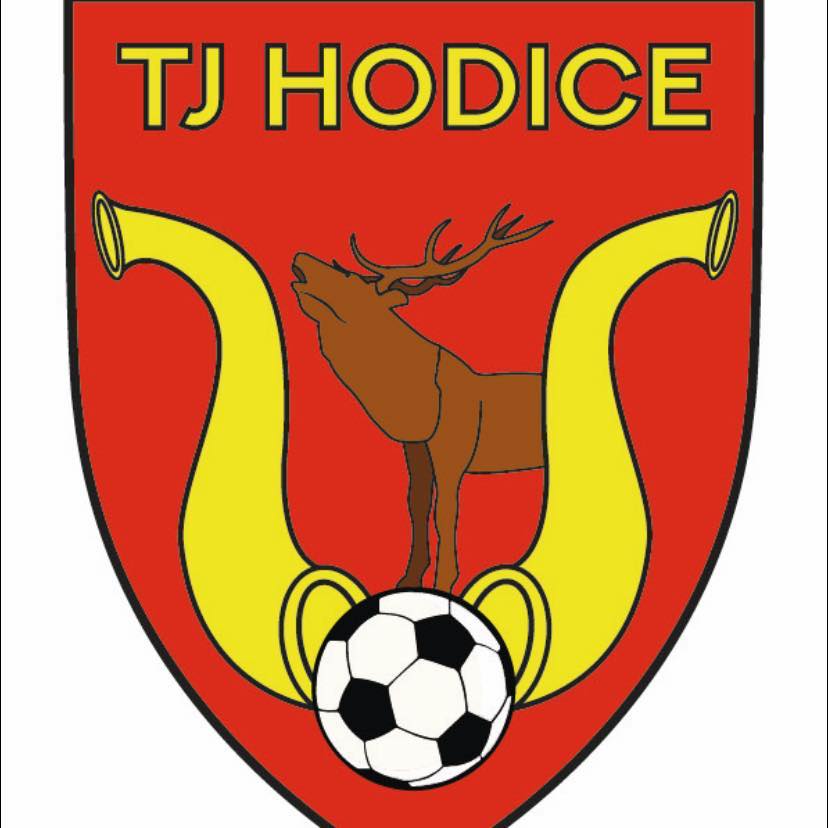 Wappen TJ Hodice