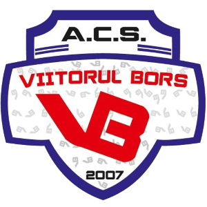 Wappen CS Viitorul Borș diverse  50169