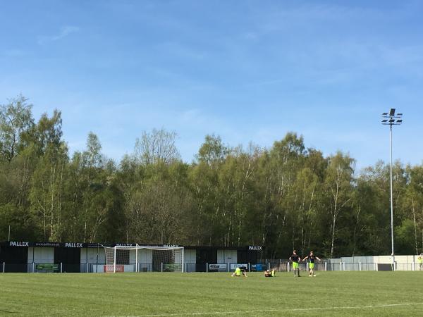 Owen Street Sports Ground - Coalville, Leicestershire