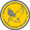 Wappen Monmouth Town FC