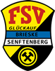 Wappen FSV Glückauf Brieske/Senftenberg 1919