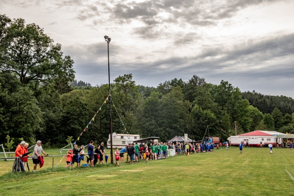 Sportplatz am Eisenhammer - Dorfchemnitz bei Sayda