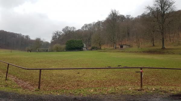 Sportplatz am Schloß - Bad Liebenstein-Steinbach