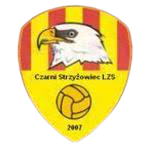 Wappen LZS Czarni Strzyżowiec