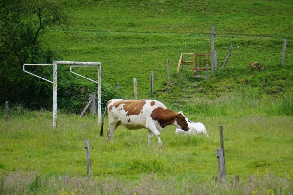 Terrain Moresnet - Plombières-Moresnet
