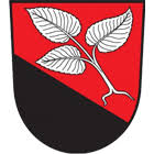 Wappen TJ Sokol Staré Město pod Landštejnem