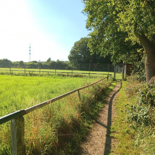 Sportplatz am Waldborn 2 - Duisburg-Rumeln-Kaldenhausen
