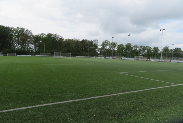 Sportpark De Boshoek veld 5 - Hardenberg