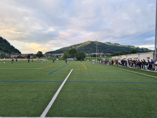 Sportplatz Leimen Nebenplatz - Oberdiessbach