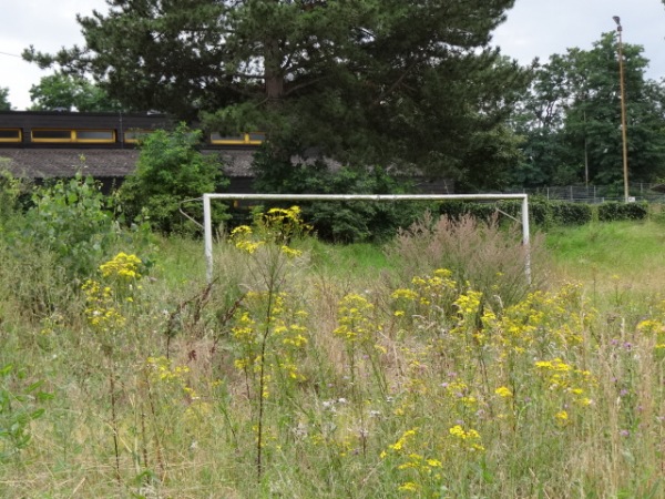 Sportzentrum Birkesdorf Platz 2 (alt) - Düren-Birkesdorf