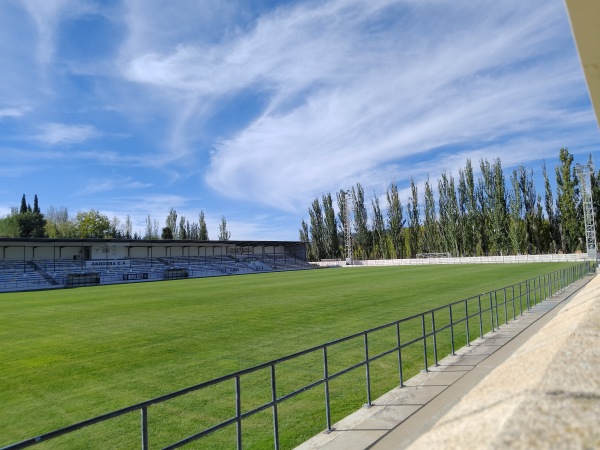 Estadio Juan Antonio Endeiza - Andorra, AR