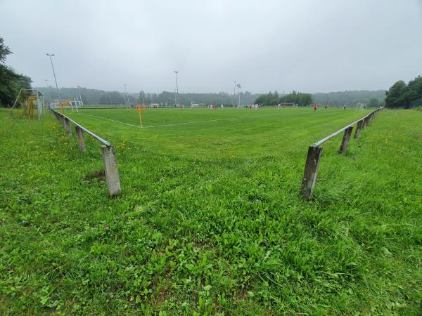 Platz im Käfig - Plauen/Vogtland-Haselbrunn