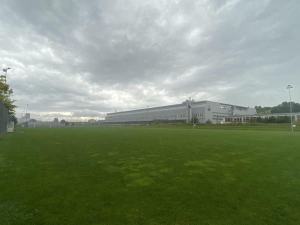 Sportanlage Juchhof 2 Platz 5 - Schlieren