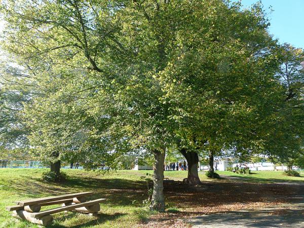 Sportplatz Auf der Hahn - Sinn-Fleisbach
