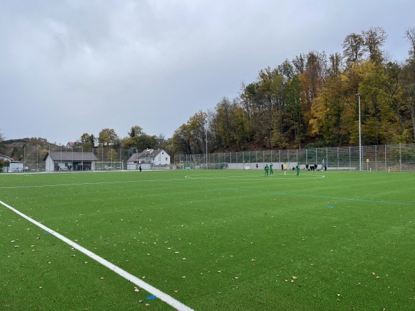 Sportgelände Nestelberg Platz 4 - Sulzbach-Laufen