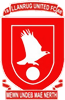 Wappen Llanrug United