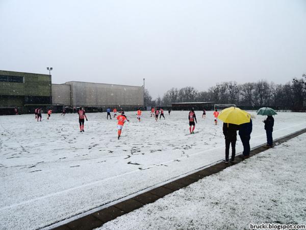 Sportanlage am See Kunstrasenplatz (alt) - Hard