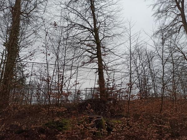 Hohberg-Stadion - Pfinztal-Wöschbach