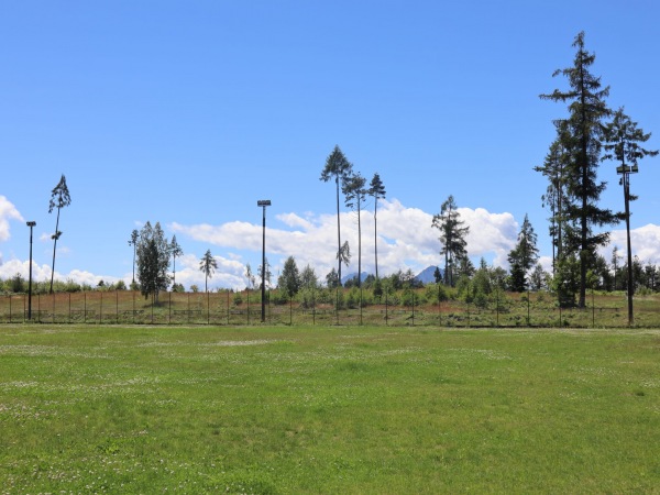 Campo Sportivo 1000 Pini - Baselga di Piné