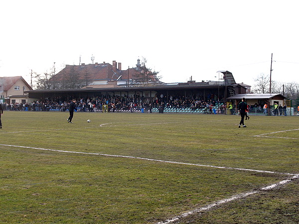 Stadion Miejski w Niepołomicach - Niepołomice