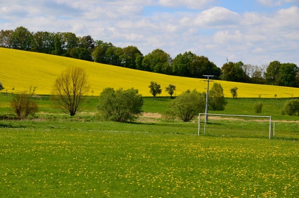 Sportplatz Eichelsstraße - Werra-Suhl-Tal-Gospenroda