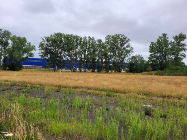 Sportplatz Lauchaer Höhe - Hörsel-Hörselgau