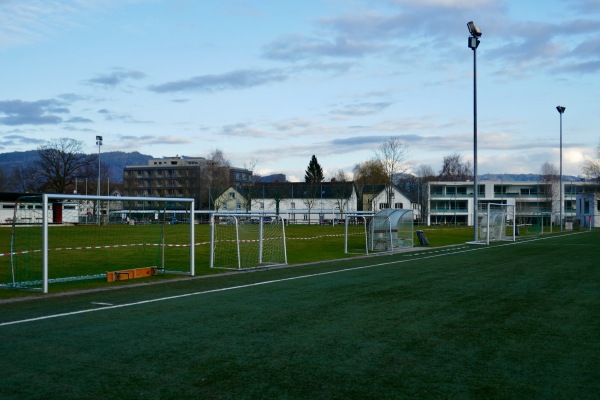 Sportanlage am See Kunstrasenplatz - Hard