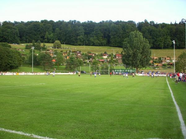Sportplatz Ruopigen - Luzern