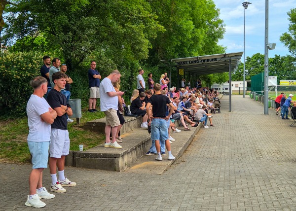Sportplatz an der Staustufe - Hattersheim/Main-Eddersheim